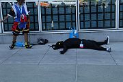 IMG_2655 