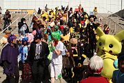 IMG_3100 