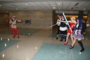 IMG_4291 