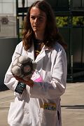 IMG_0297 