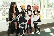 IMG_1146 