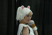IMG_1482 
