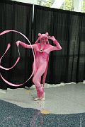 IMG_1498 