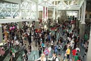 IMG_2604 