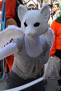 IMG_2650 