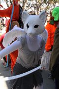 IMG_2651 