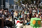 IMG_2816 
