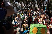 IMG_2875 