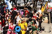 IMG_2887 