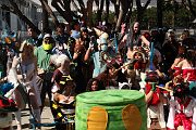 IMG_2896 