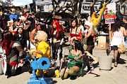 IMG_2910 