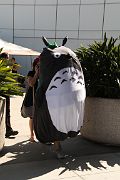 IMG_2961 