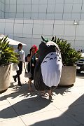 IMG_2963 
