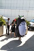 IMG_2964 
