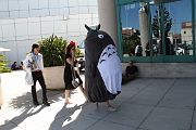 IMG_2966 