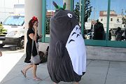 IMG_2968 