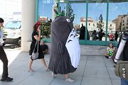 IMG_2969 