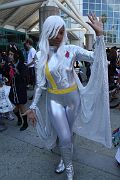 IMG_3014 