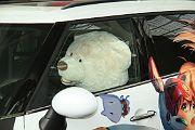 IMG_0029 