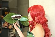 IMG_0089 