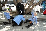 IMG_0585 