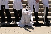 IMG_0797 