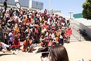 IMG_1565 