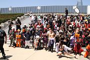 IMG_1568 