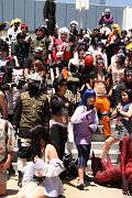 IMG_1631 