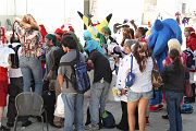 IMG_2326 