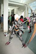 IMG_2351 