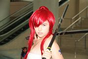 IMG_3781 