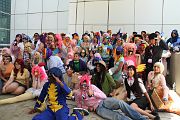 IMG_3919 