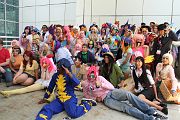 IMG_3920 