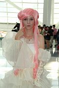 IMG_4396 