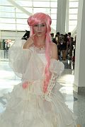 IMG_4397 