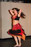 IMG_1240 