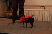 IMG_1660 