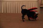 IMG_1686 