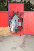 IMG_2401 