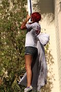 IMG_0201 