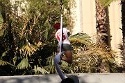 IMG_0214 