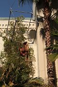 IMG_0272 