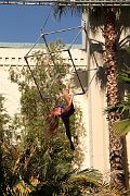 IMG_0275 