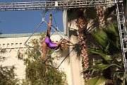 IMG_0303 
