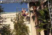 IMG_0310 