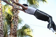 IMG_2087 
