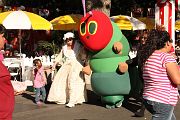 IMG_1096 