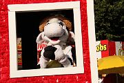 IMG_1114 