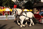 IMG_1225 